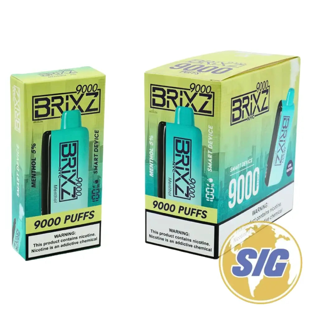 Brixz 9000 - Menthol 5% - Disposable