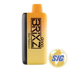 Brixz 9000 - Red Tobacco 5% - Disposable