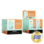 Crave BC7000 Disposable Vape - Bubble Frost