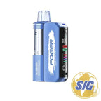 Foger Switch Pro Kit 30000 Puffs 5CNT - Blueberry Watermelon