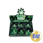 Glow in The Dark Ashtray Display 6 CT