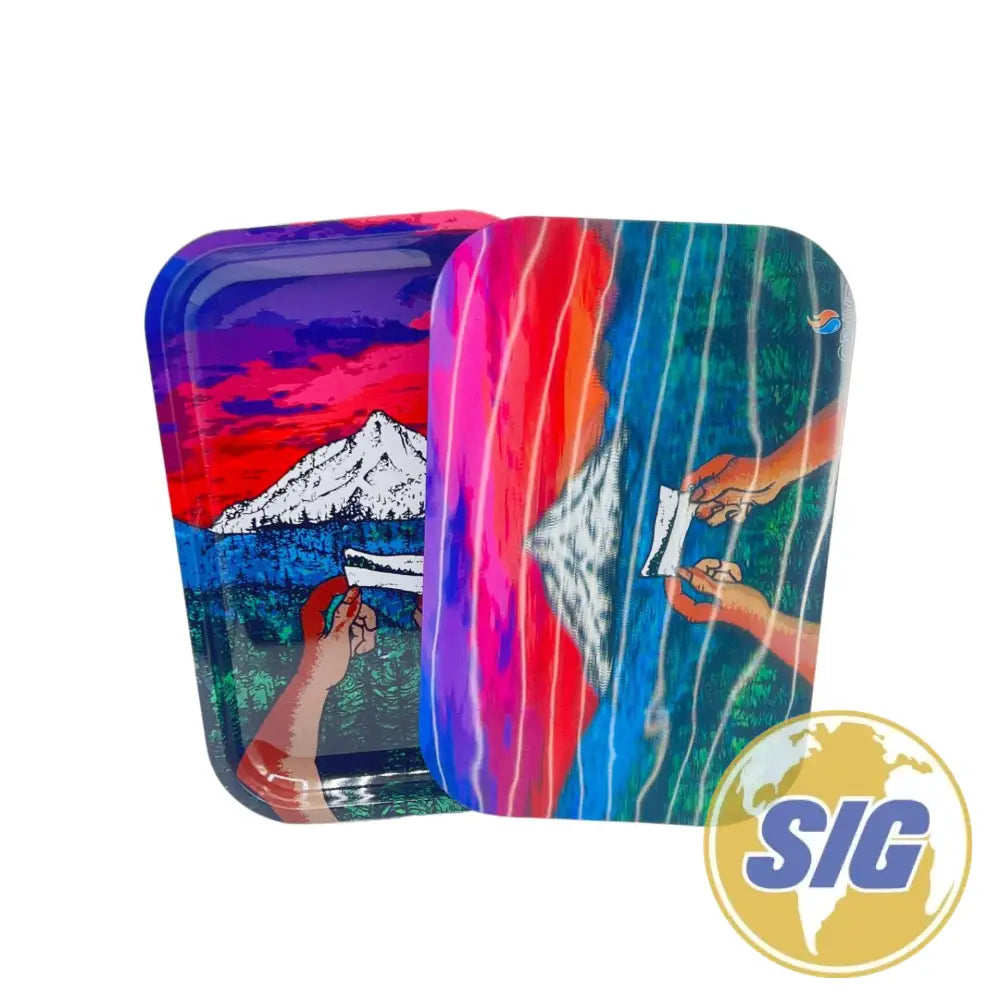 Large 12″x 9″ Magnetic 3D Trays With Lid - Design #33