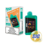 Raz LTX 25000 Puffs Disposable Vape - Wintergreen