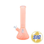 Solid Color Matte Beaker |REF: RG 211|