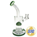 Straight Water Pipe W/ Shower-Head Percolator